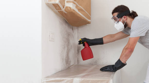 Professional Mold Removal technician working in Columbia, IL