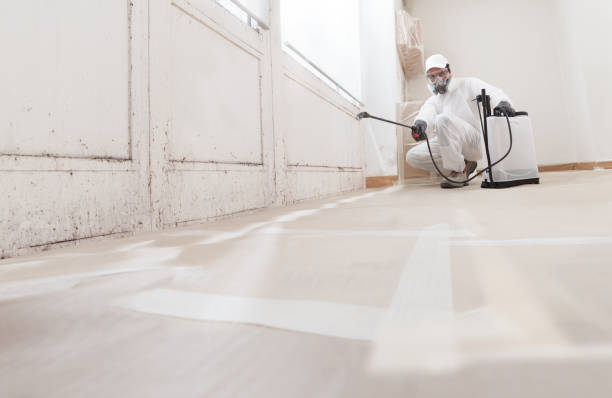 24/7 Emergency Mold Removal experts in Columbia, IL